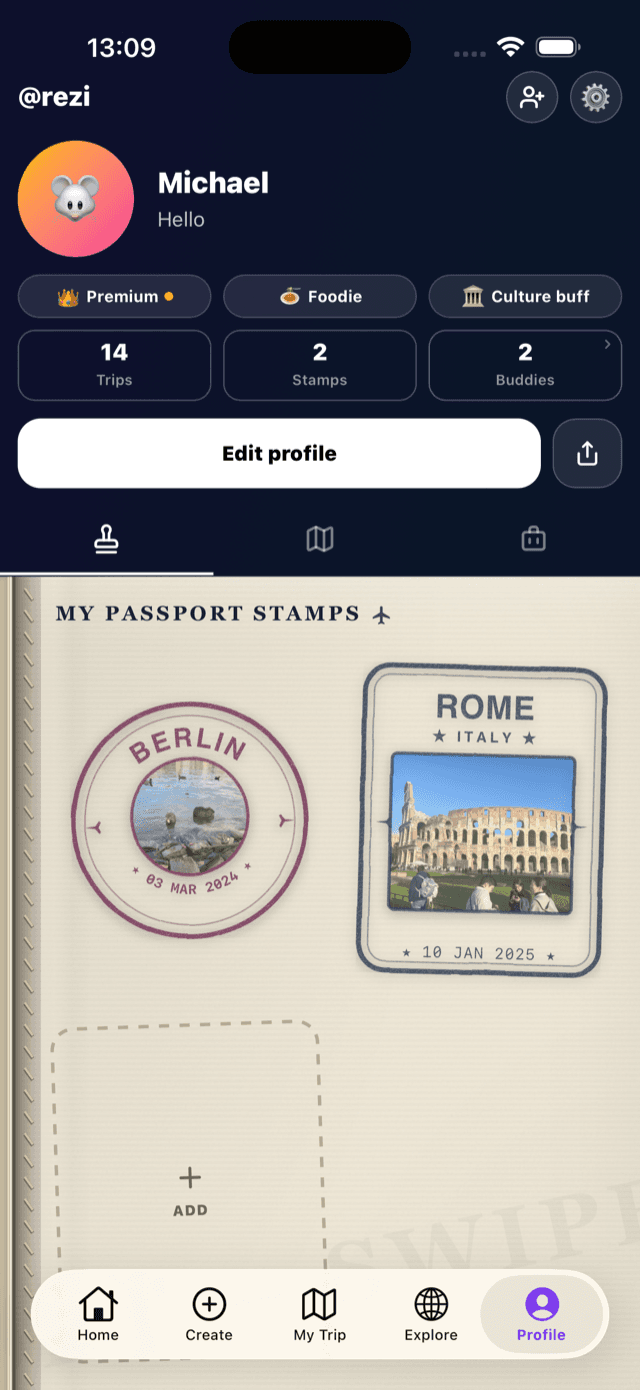 SwipeSights travel passport showing a grid of collected passport stamps for visited places