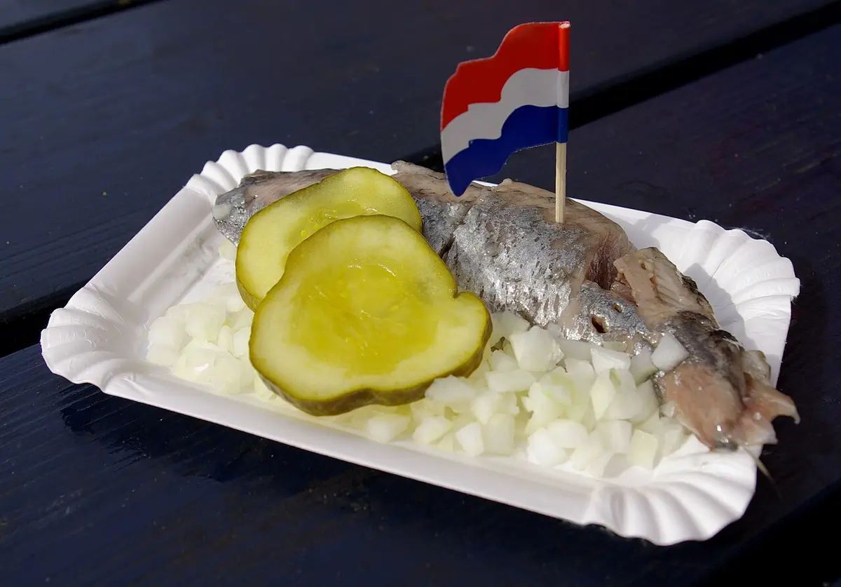 A raw herring with chopped onion and pickles on a paper tray, with a small Dutch flag