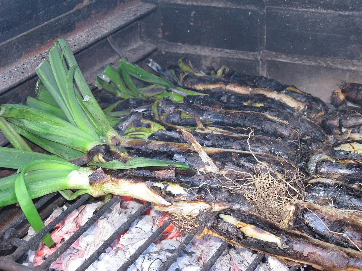 Calçots, long spring onions, charring on a grill over embers