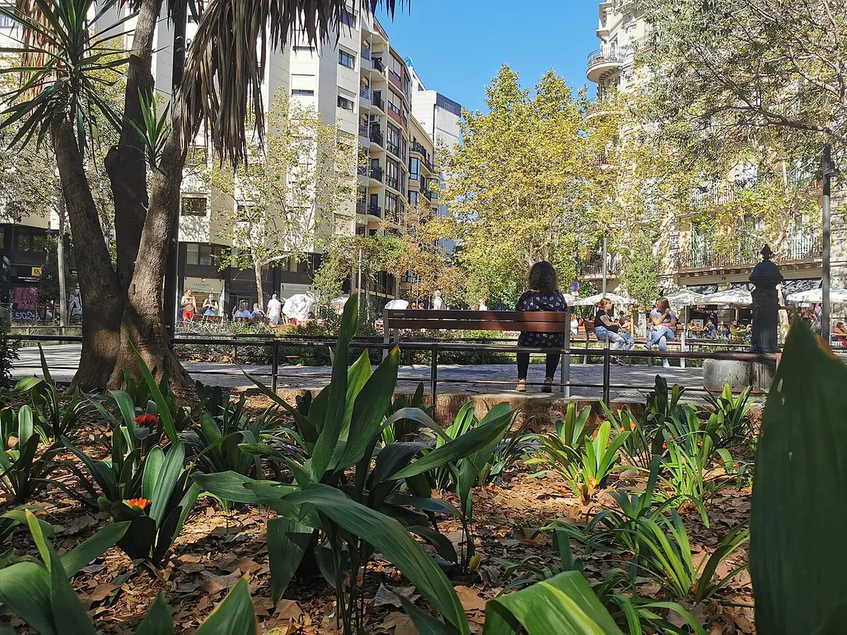 An Eixample street planted with palms, shrubs and benches where cars used to drive