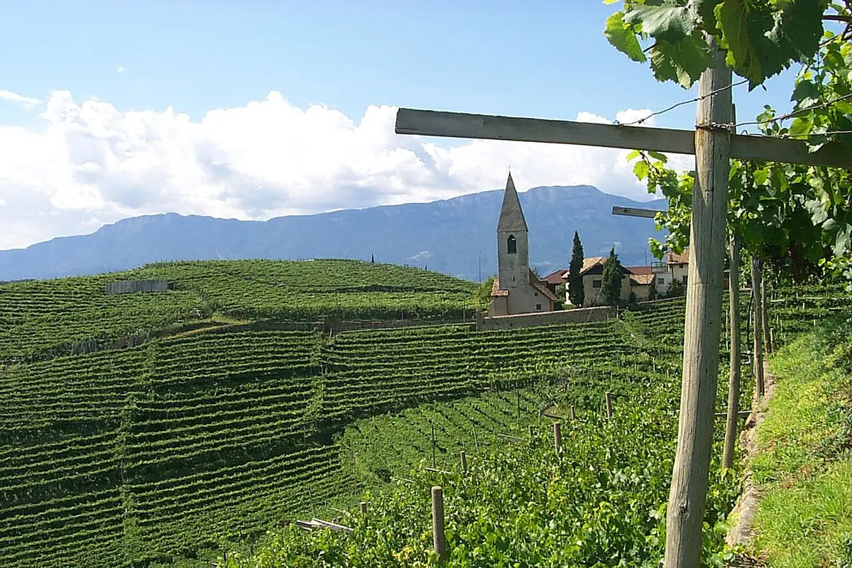 Terraced vineyards on the hill of St. Magdalena, with the church spire and a long mountain ridge behind