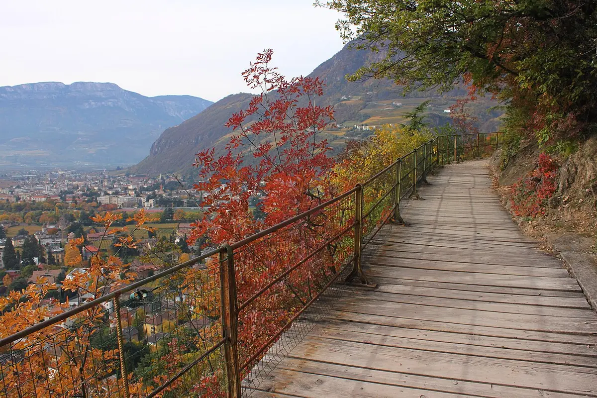 The wooden boardwalk of the Oswald Promenade between autumn leaves, the city spread out below
