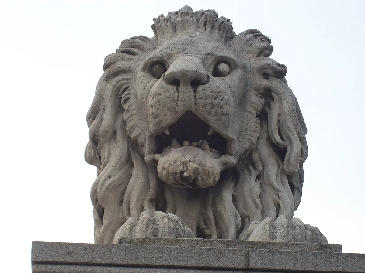 One of the stone lions guarding the Chain Bridge, its mouth open