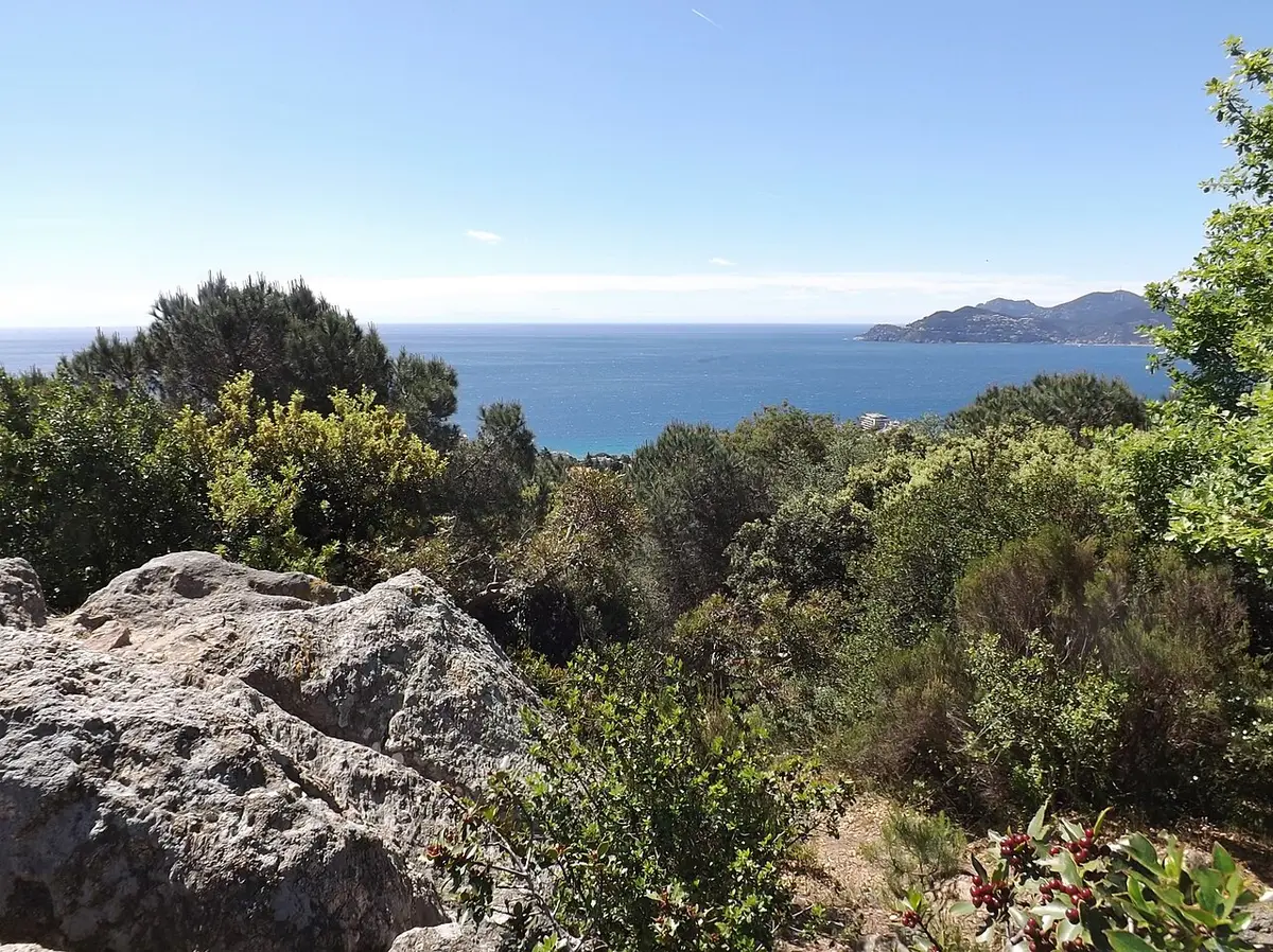 Rocks and scrubby Mediterranean woodland on the Croix-des-Gardes hill, the sea and the Esterel beyond