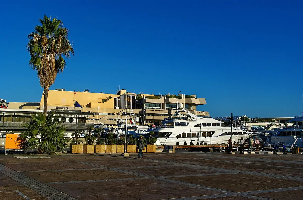 The low modern Palais des Festivals behind moored yachts and a palm tree, under a deep blue sky