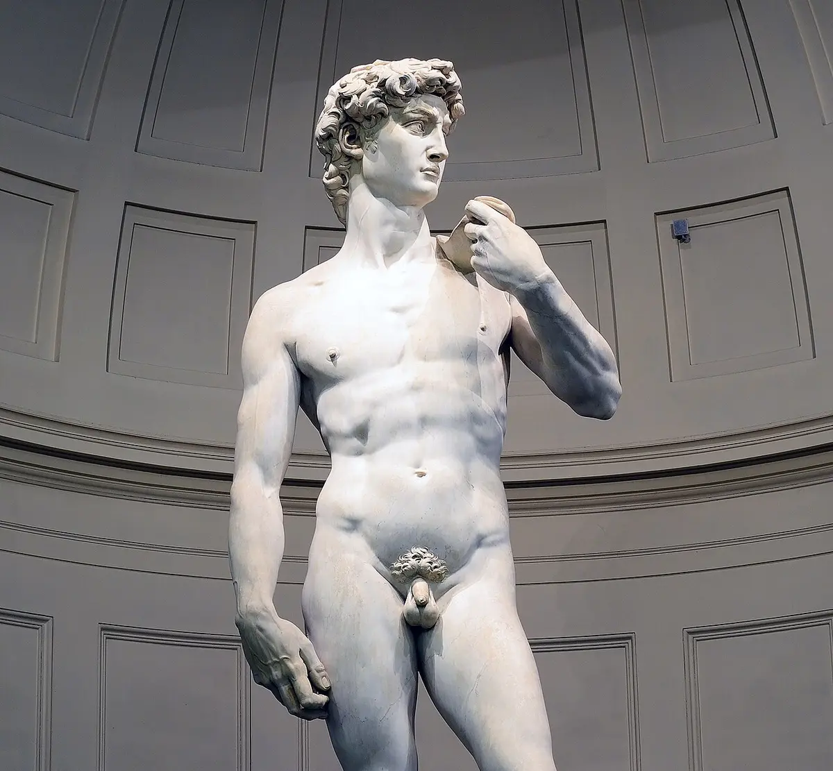 Michelangelo’s marble David from the waist up, looking to his left, in the domed tribune of the Accademia