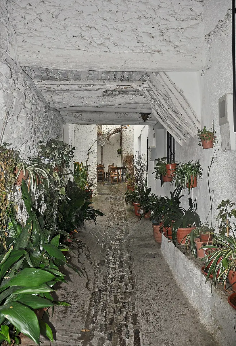 A whitewashed covered passage in Pampaneira, lined with potted plants