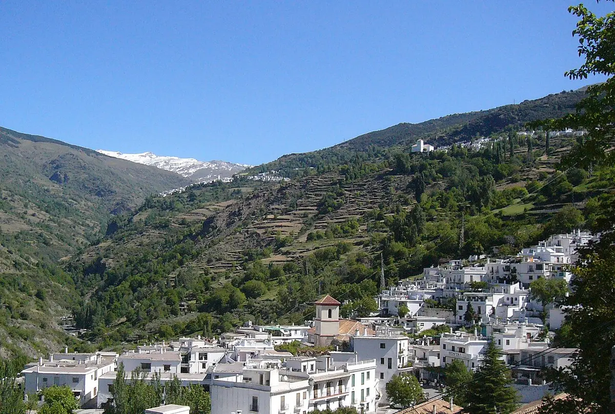 A white village on a green terraced slope of the Poqueira gorge, snow on the Sierra Nevada behind
