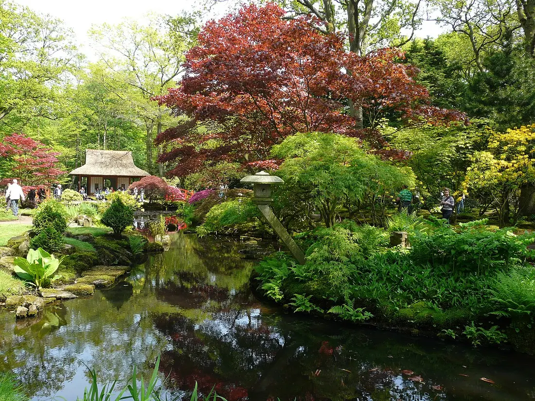 A pond in the Japanese Garden at Clingendael, with red maples, azaleas and a small thatched teahouse