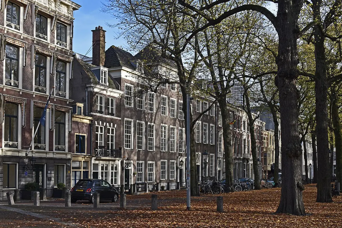 Tall trees and grand town houses along the Lange Voorhout in autumn, with fallen leaves