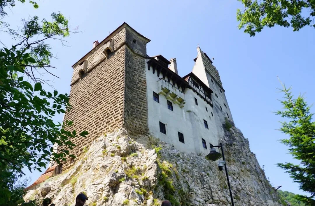 Bran Castle’s stone tower and white walls on top of a rock, seen from below between the trees