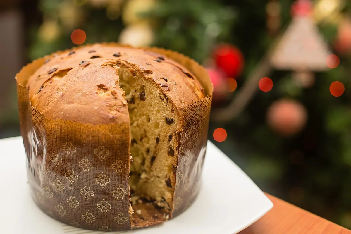 A tall panettone with a slice cut away, Christmas lights behind