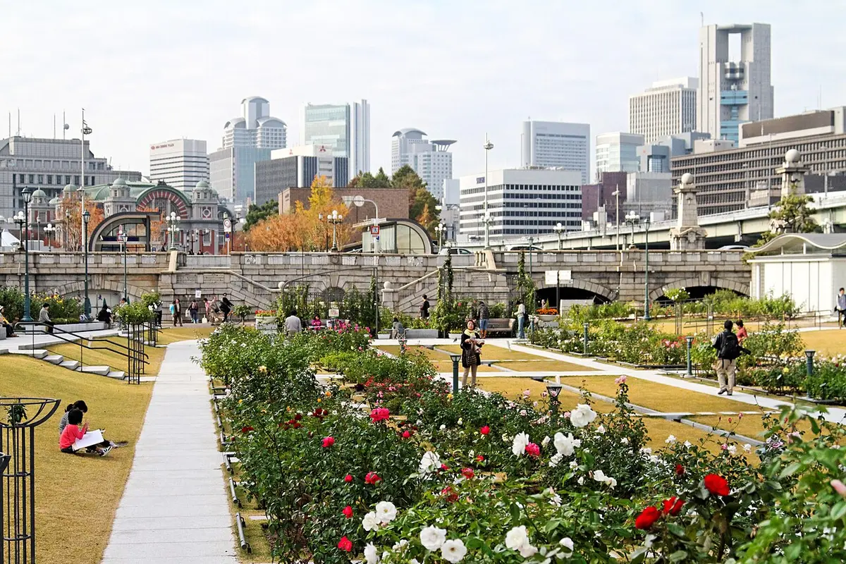 Beds of roses in Nakanoshima Park, with the Central Public Hall and office towers behind