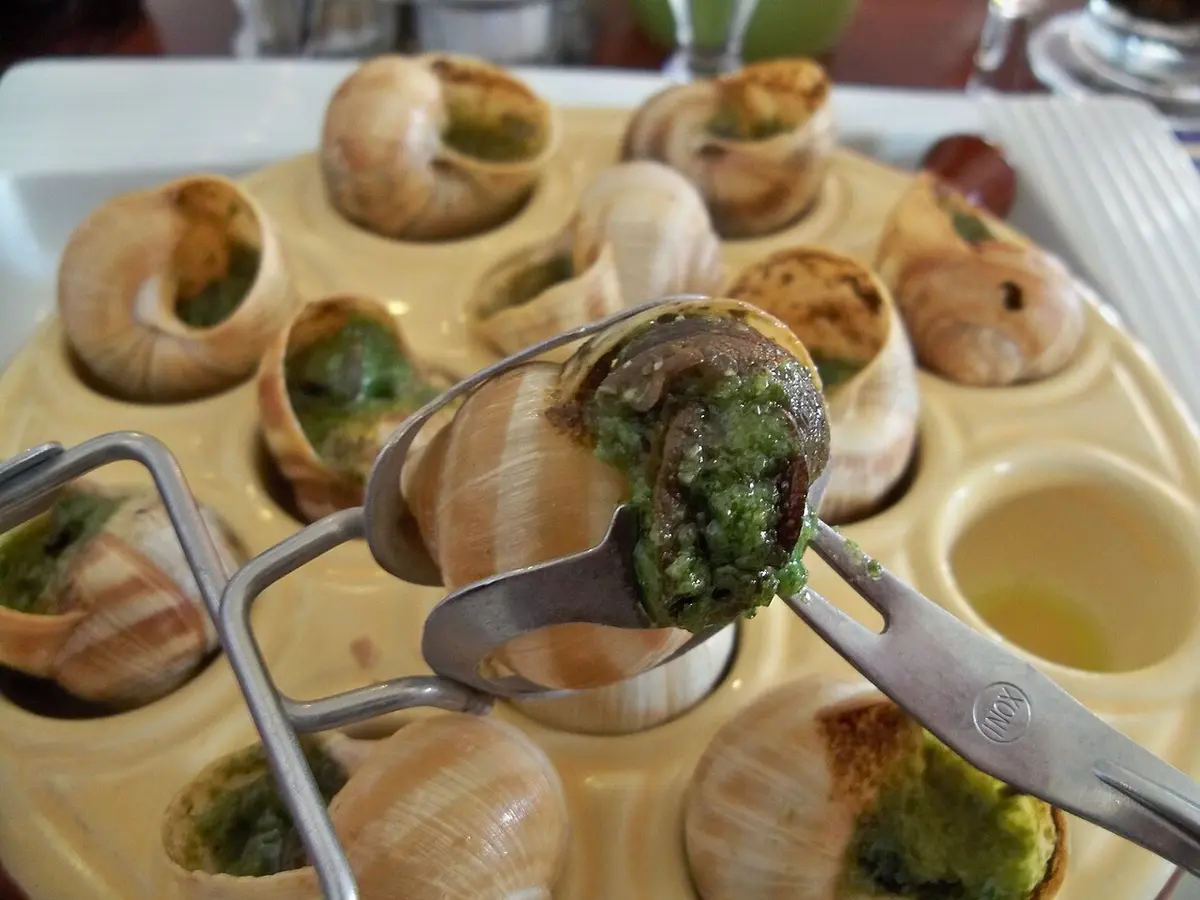 Snails in garlic and parsley butter in a snail dish, one held in tongs