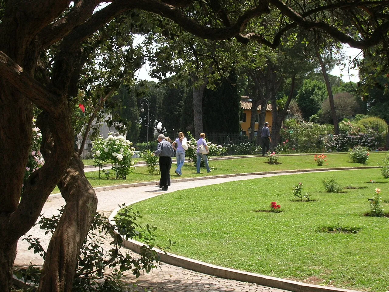 Rose beds in the Roseto comunale on the slope of the Aventine