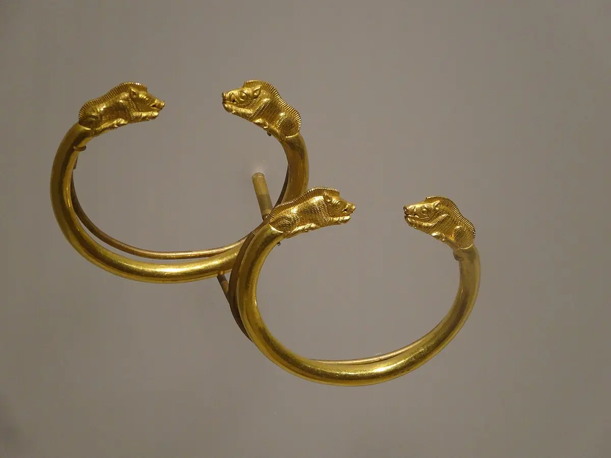 Two gold bracelets with boar-head ends in a museum case