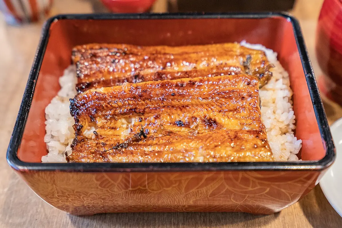 Grilled eel glazed with sauce over rice in a lacquered box