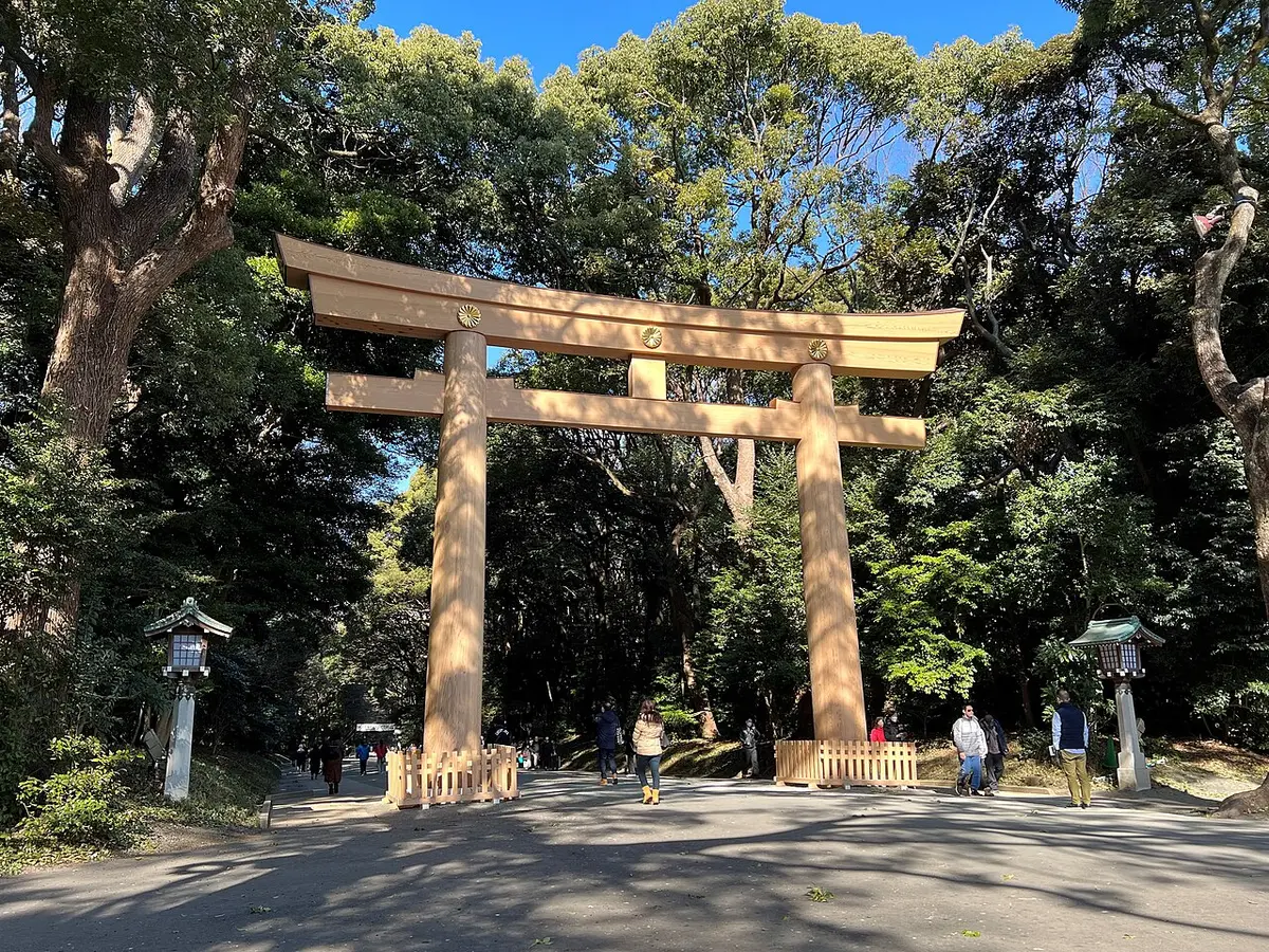 A tall wooden torii over a wide gravel path in the forest of Meiji Jingu