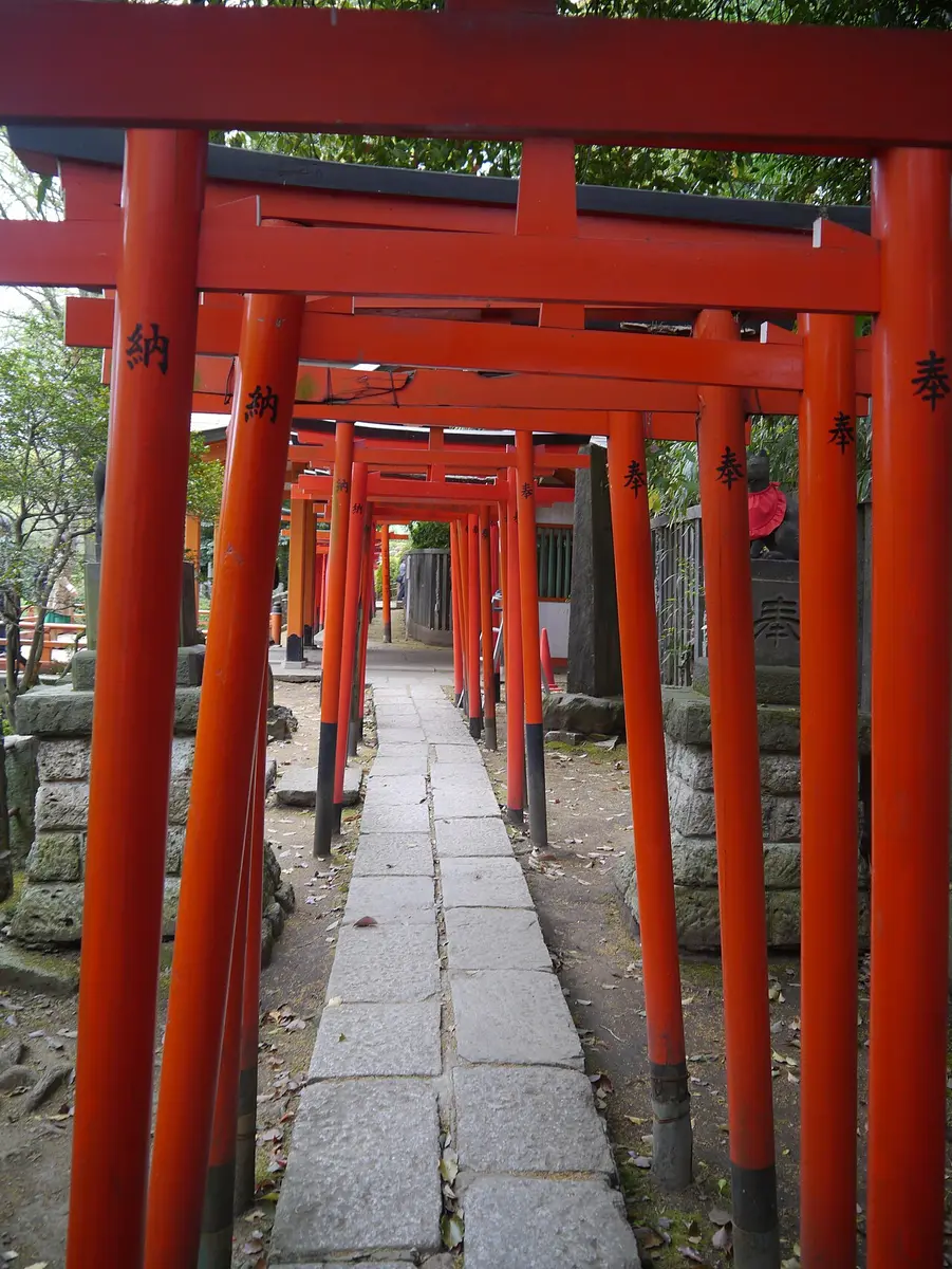 A tunnel of red torii over a stone path at Nezu Shrine