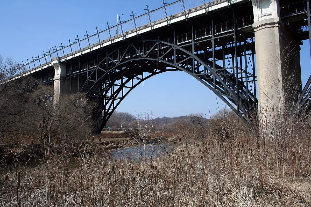 The steel arch of the Prince Edward Viaduct seen from the reeds of the Don Valley below