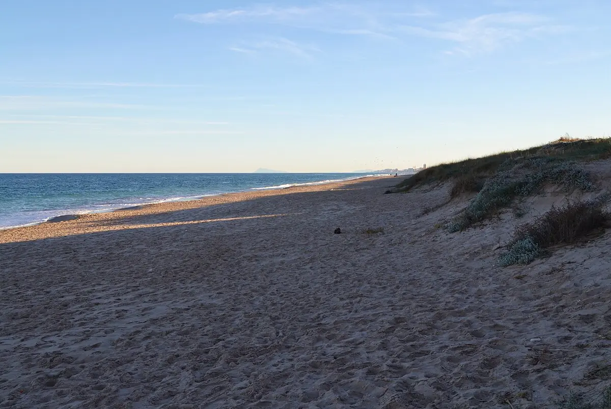 A wide, empty beach beside a low dune covered in grass