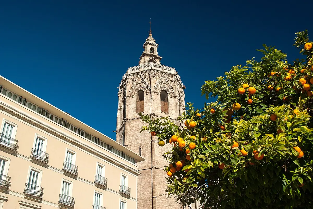 The octagonal Micalet bell tower against a deep blue sky, an orange tree in fruit in the foreground