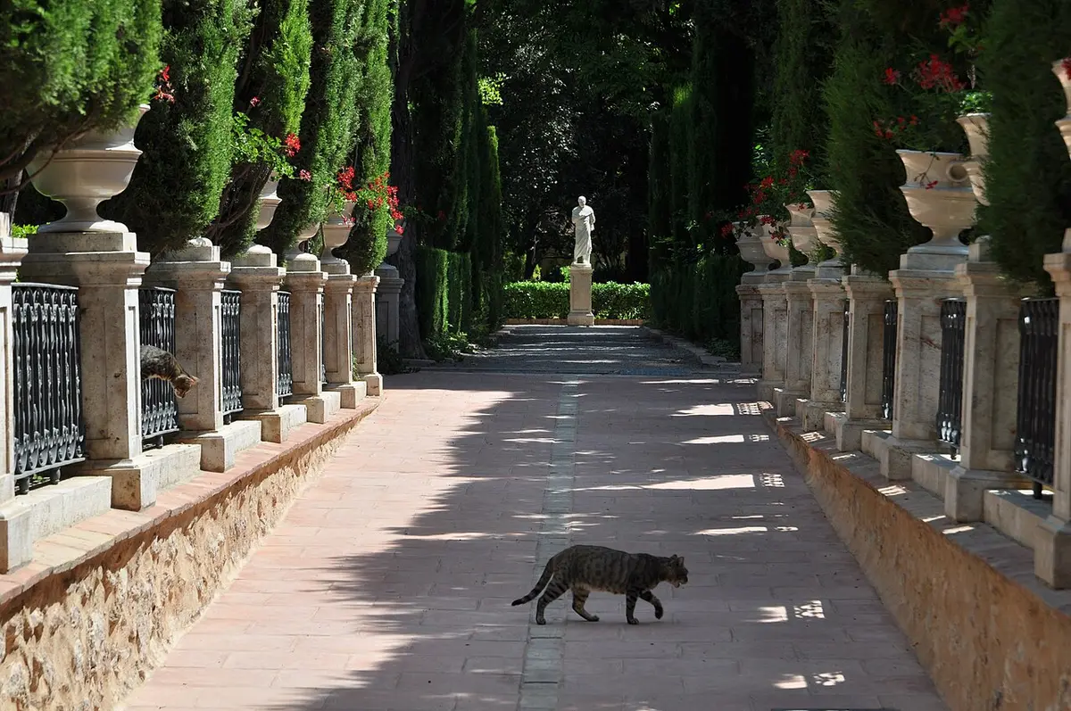 A shaded garden walk lined with balustrades, urns and cypresses, a statue at the end and a cat crossing