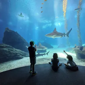 Oceanário de Lisboa