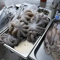 Octopus on ice at a fish market